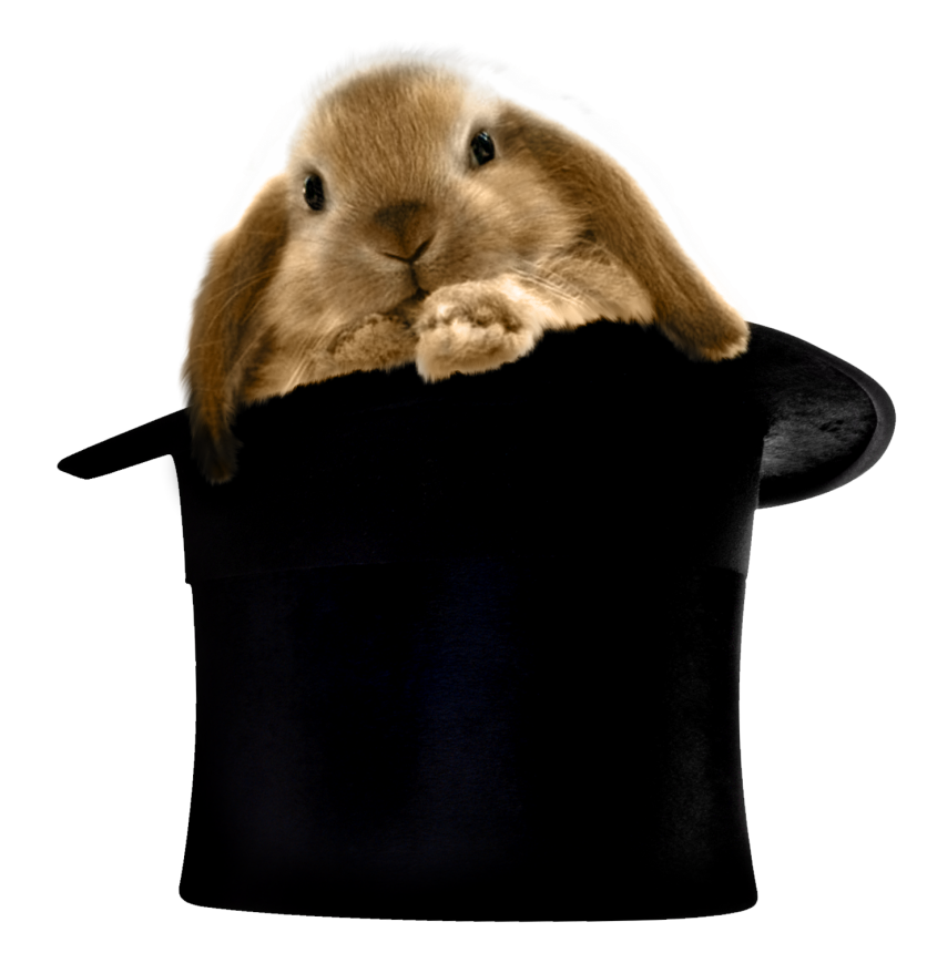 clipart hat bunny