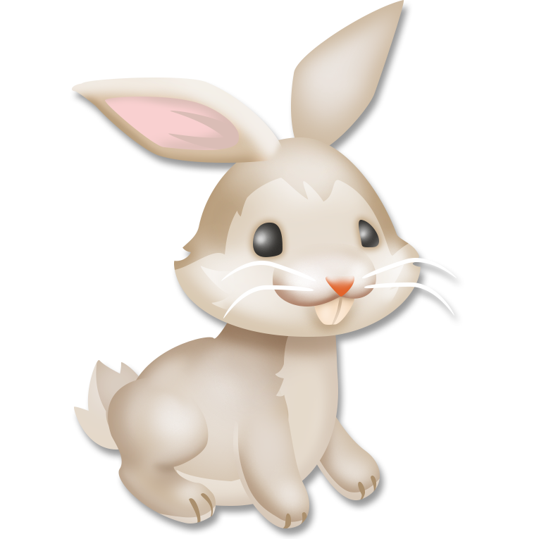 Bunny snowshoe rabbit