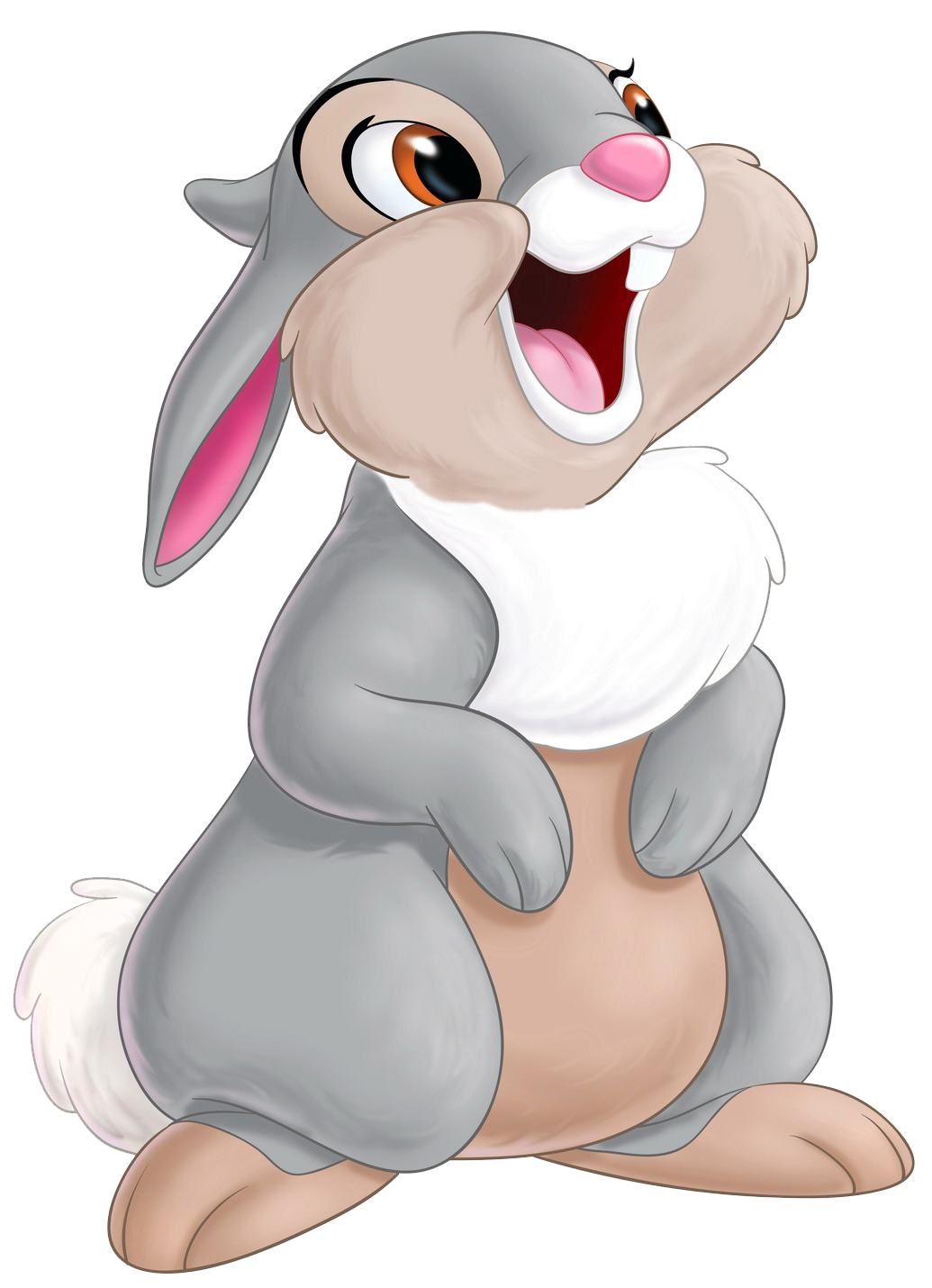 Walrus clipart baby. Thumper bambi transparent png