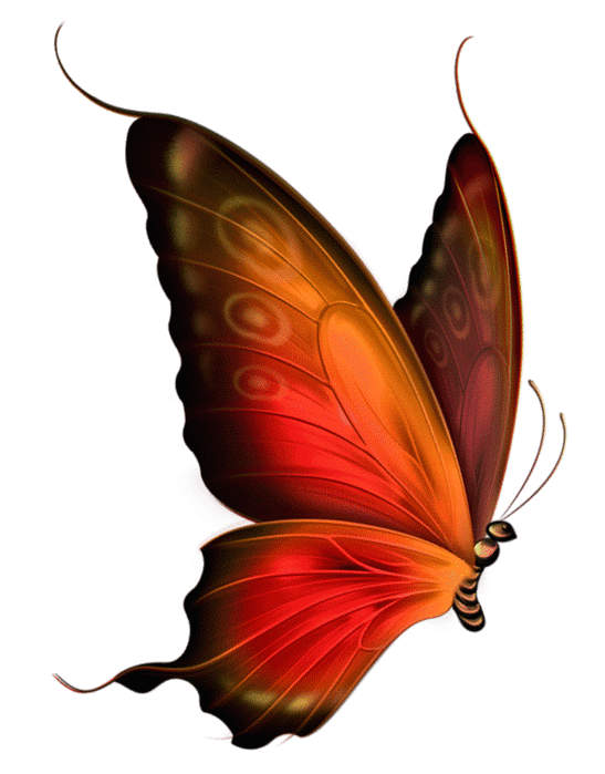 peaches clipart butterfly