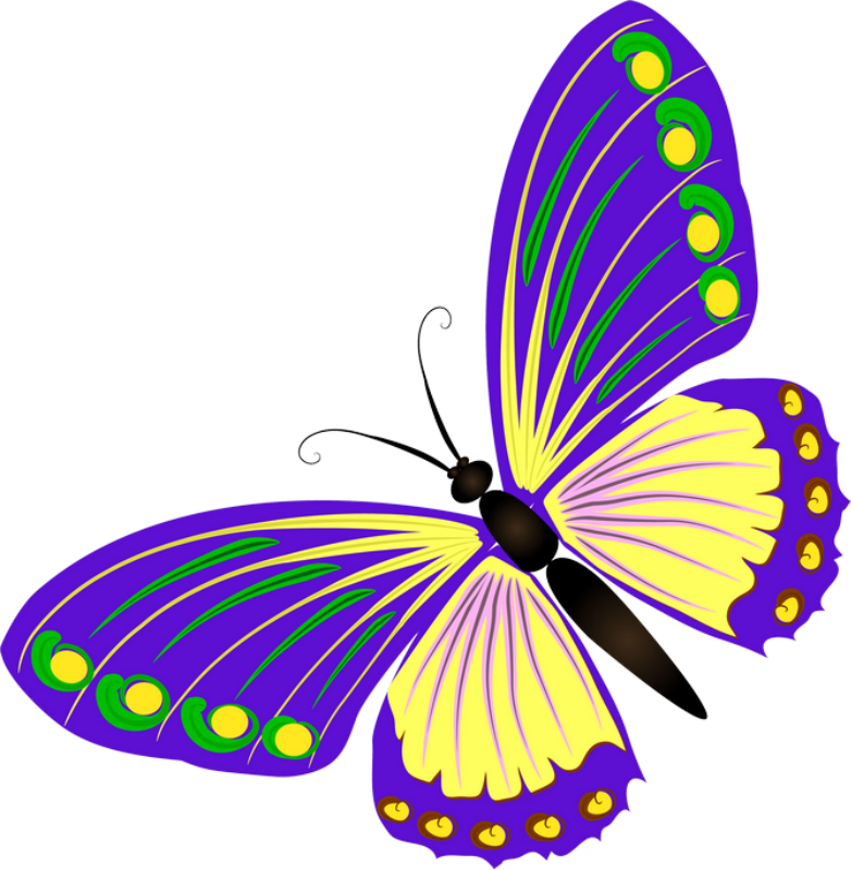 clipart butterfly angel