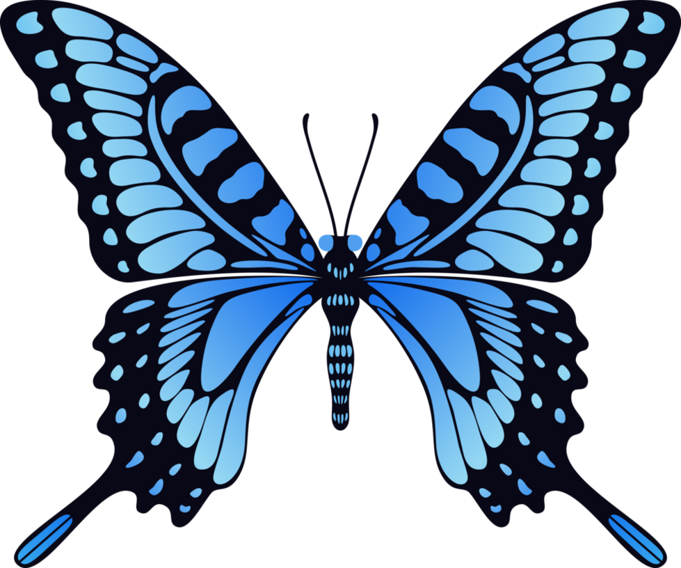 clipart butterfly animation