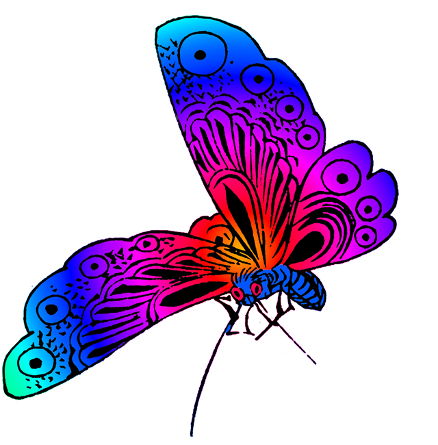 insect clipart beautiful animal