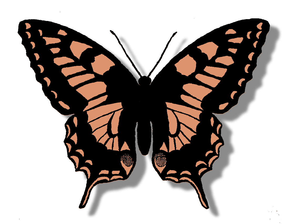 clipart butterfly beige