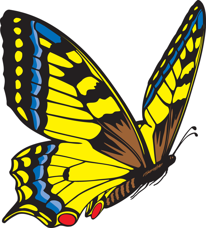 Fly clipart simple. Yellow butterfly panda free
