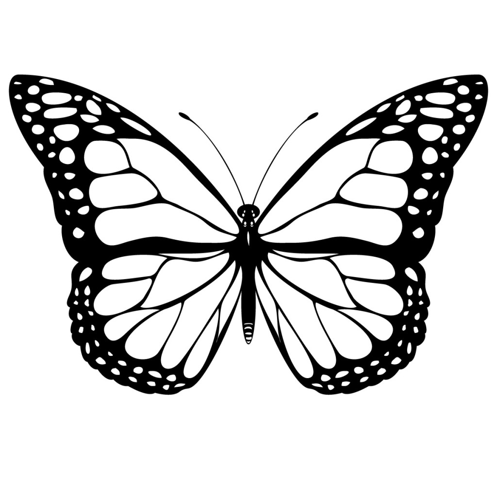 clipart butterfly black and white