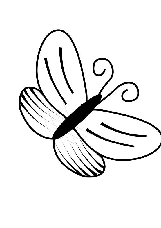 Walrus clipart outline. Butterfly black and white
