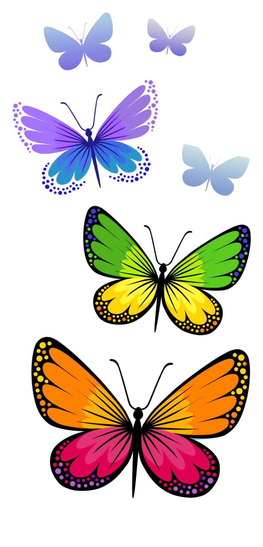 Clipart butterfly bunch. Half cliparts free clip