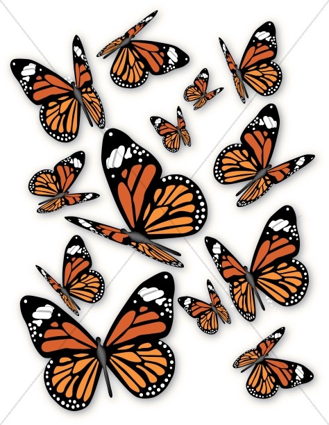 Clipart butterfly bunch. A of monarch butterflies