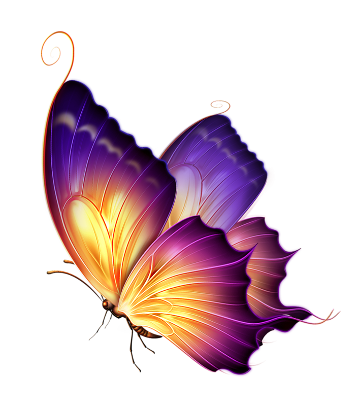clipart butterfly burgundy