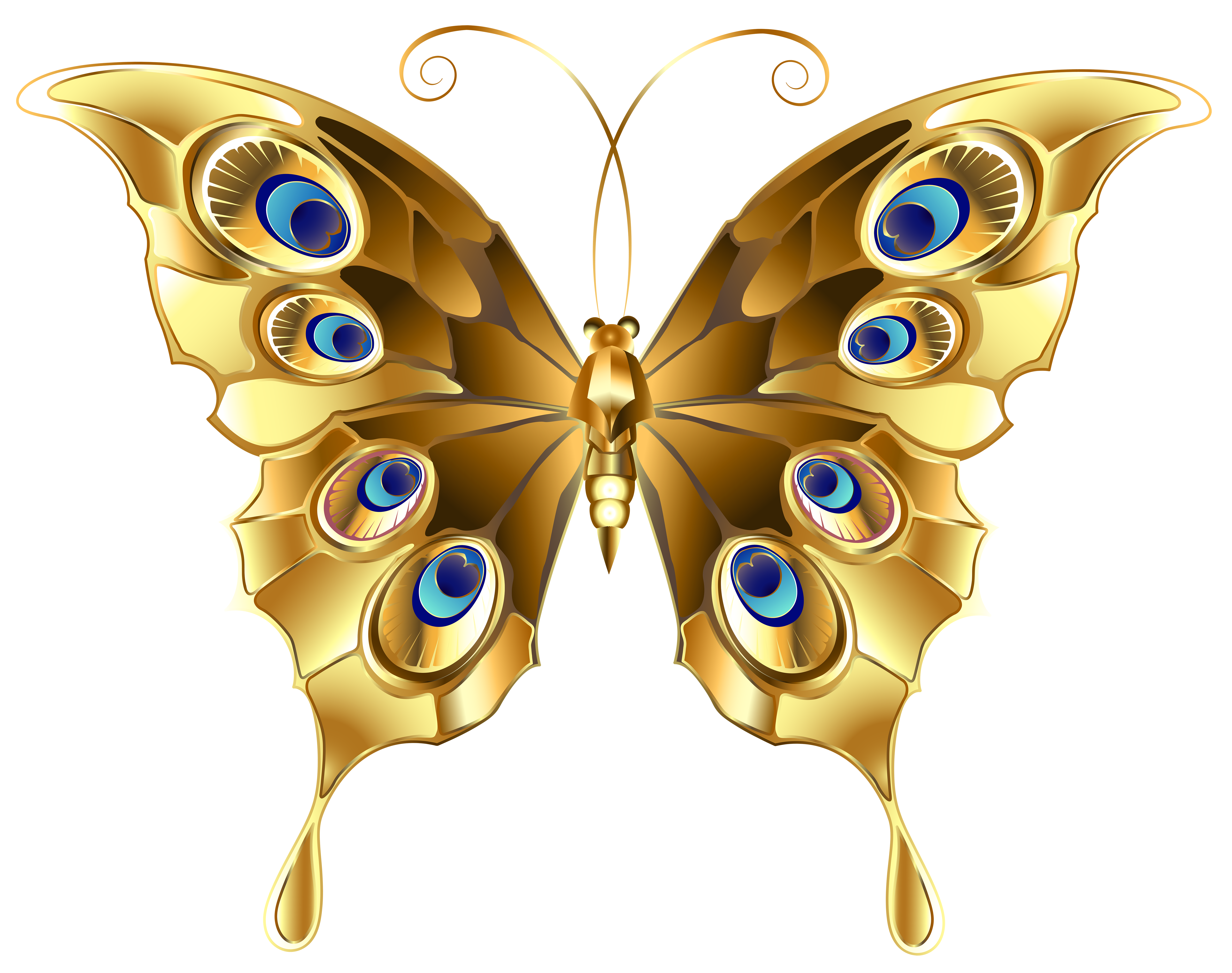 clipart butterfly cage
