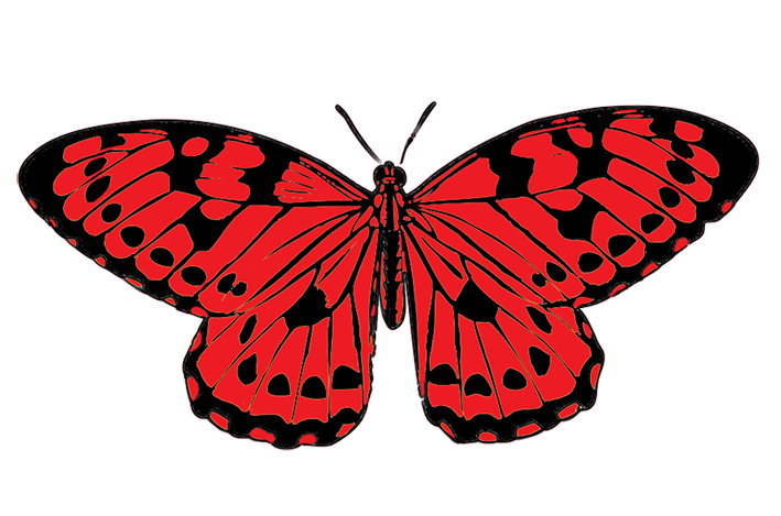 i clipart butterfly