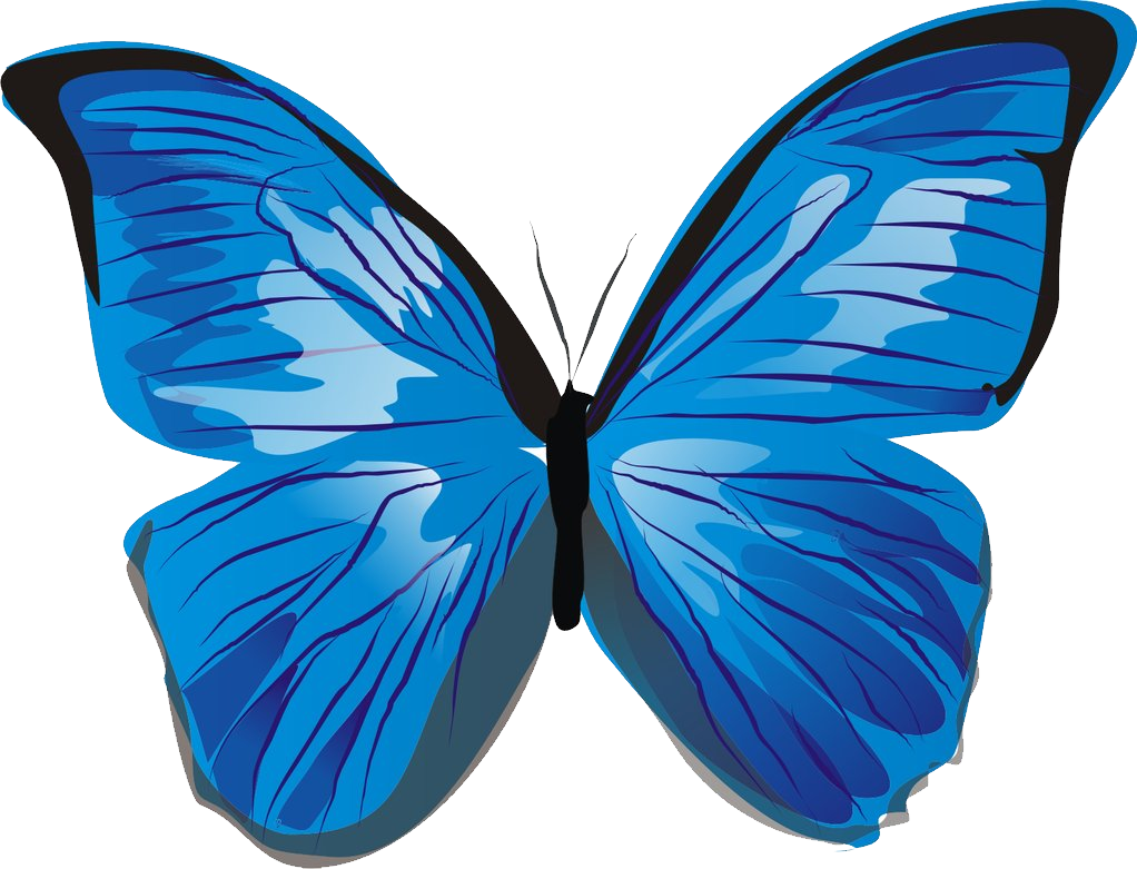 clipart butterfly clear background