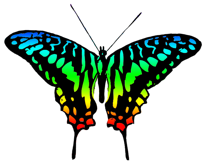 Multicolored image . Clipart butterfly couple