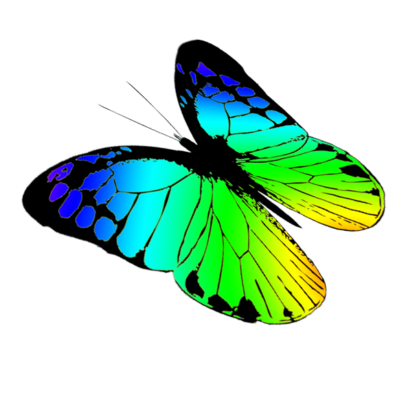 clipart park butterfly