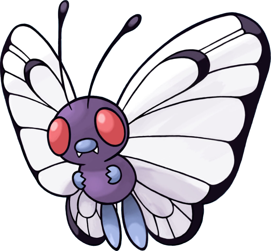 clipart butterfly evolution