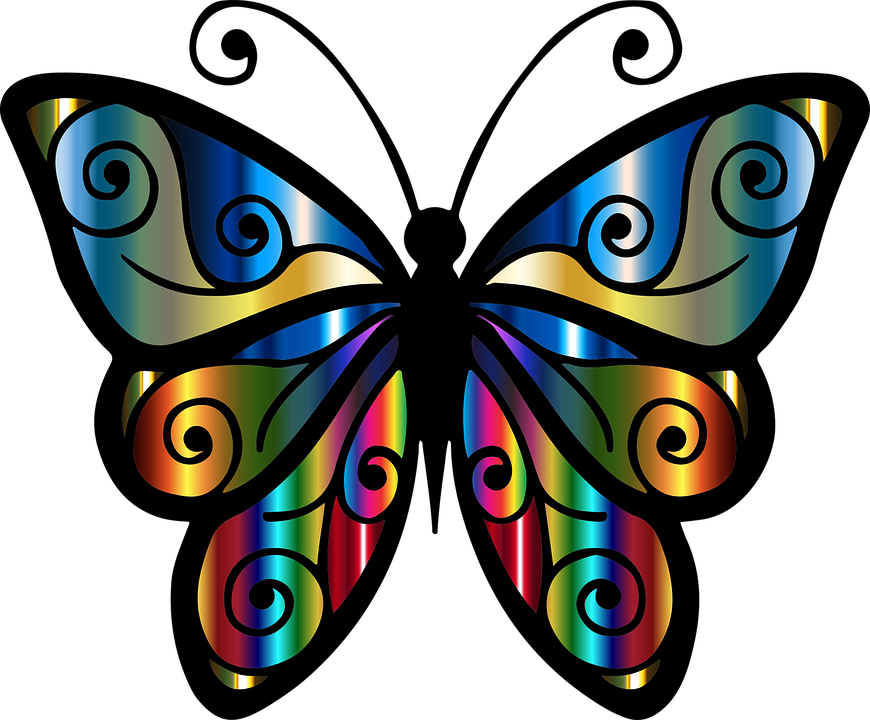 Clipart butterfly exercise. Fitness page performance wow