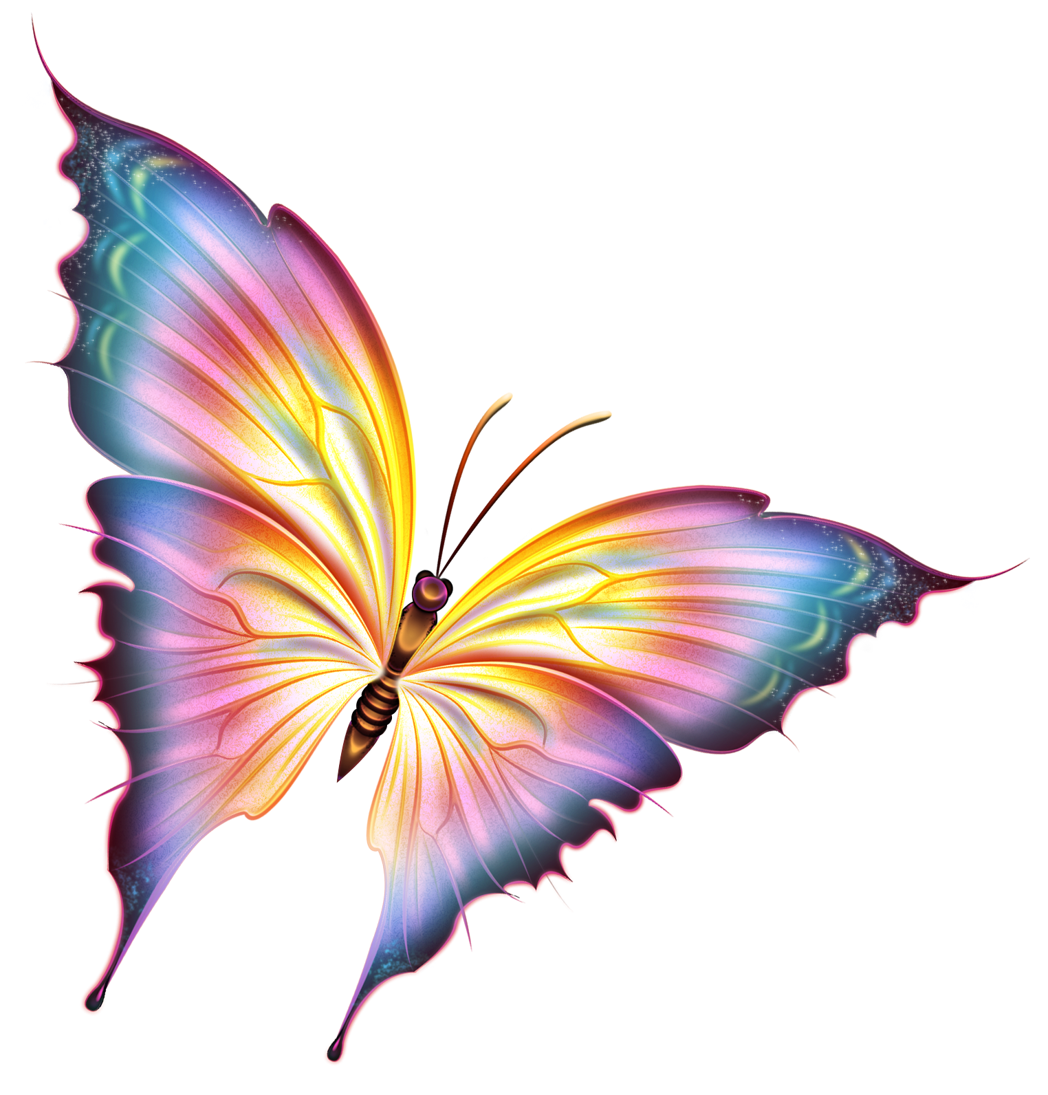 Clipart butterfly exercise.  a eb c