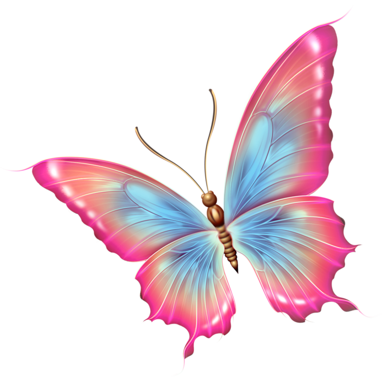 clipart butterfly face