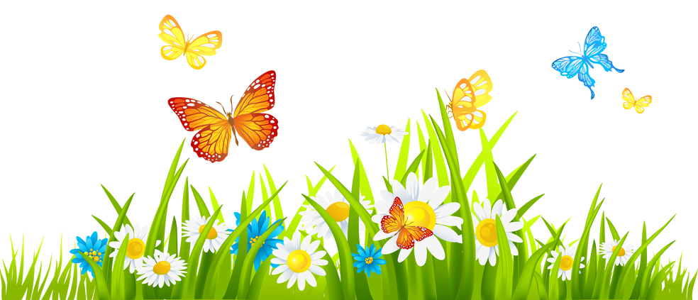 frog clipart butterfly
