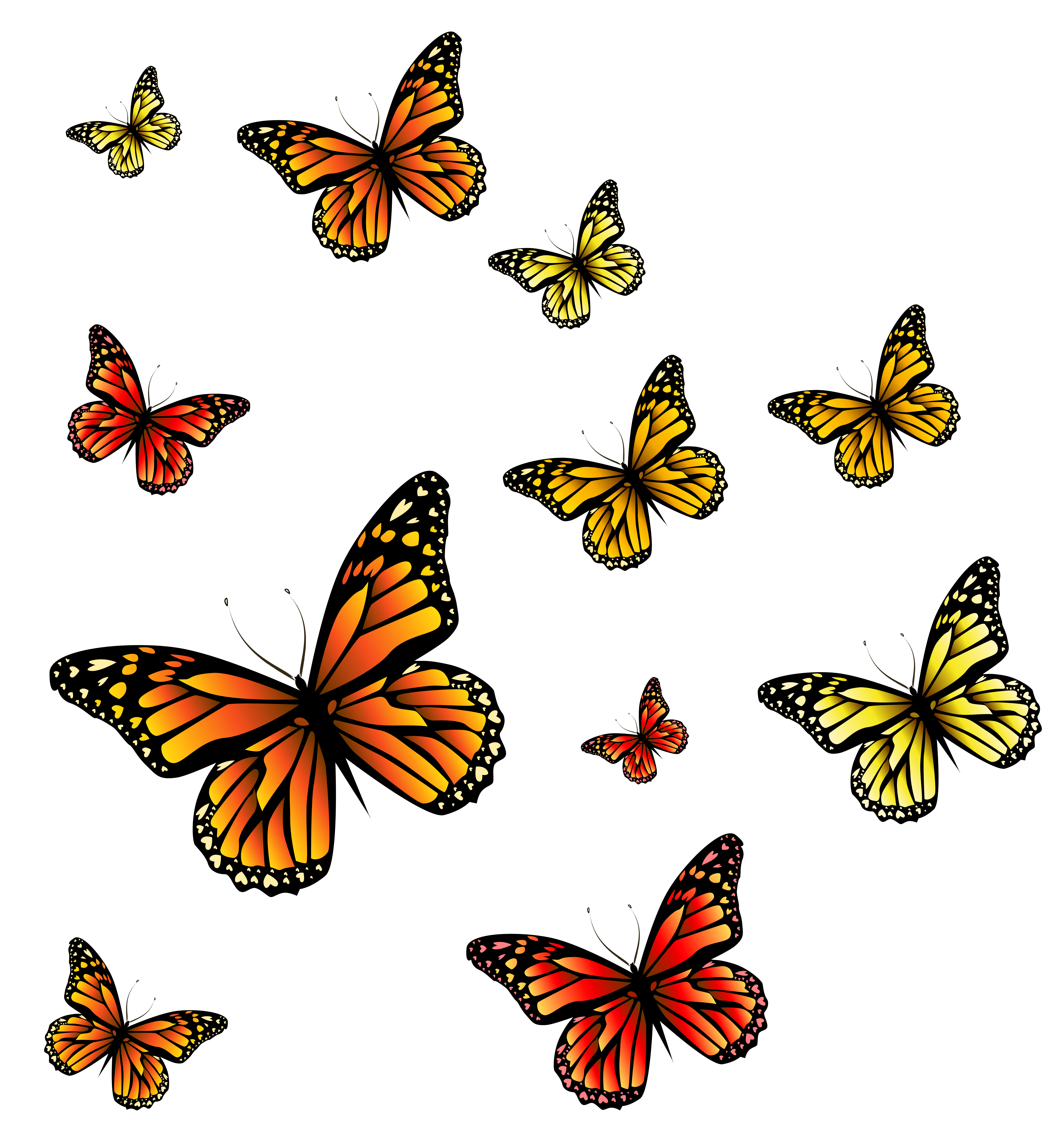 clipart butterfly garden