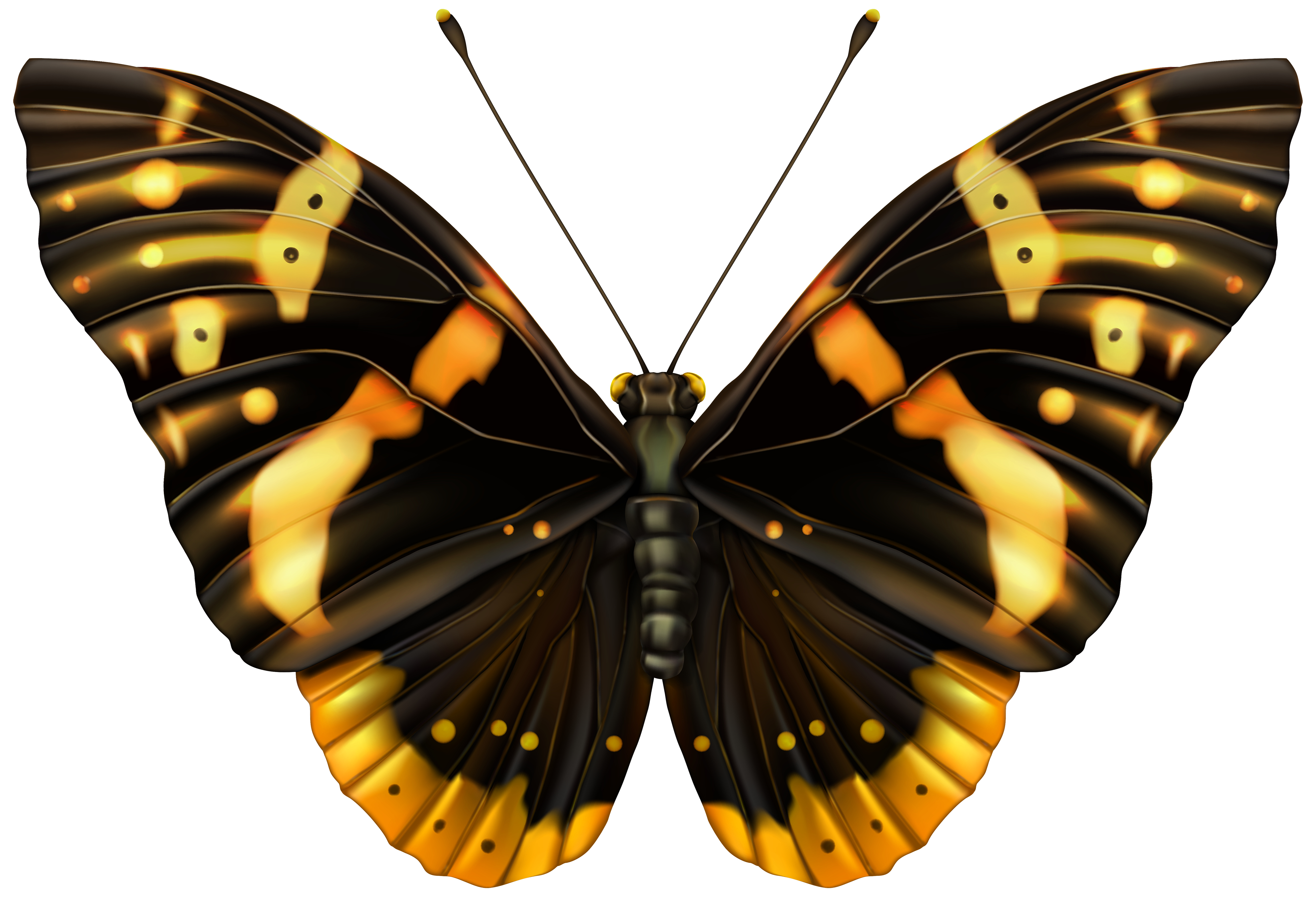 gold clipart butterfly