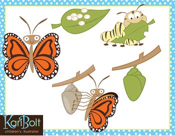 clipart butterfly growth
