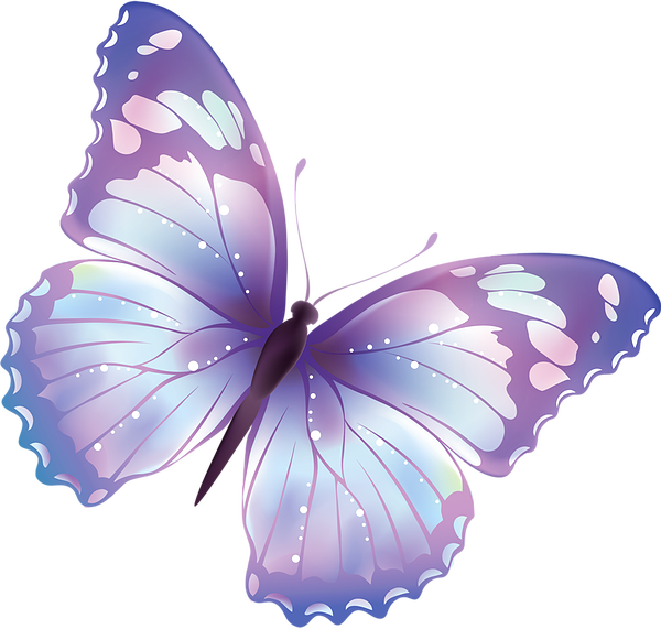 clipart butterfly ladybug