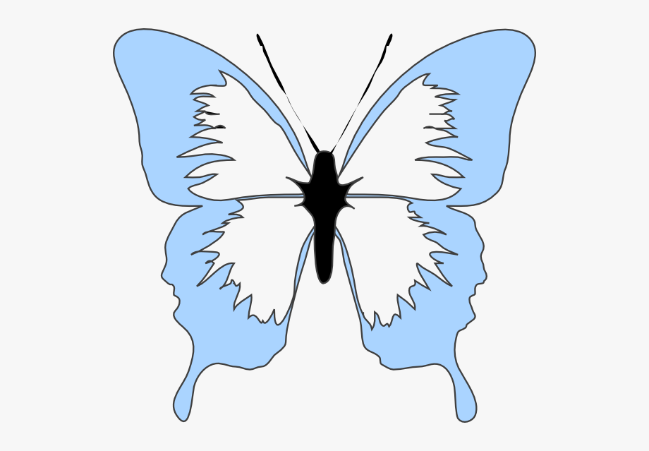 clipart butterfly light blue