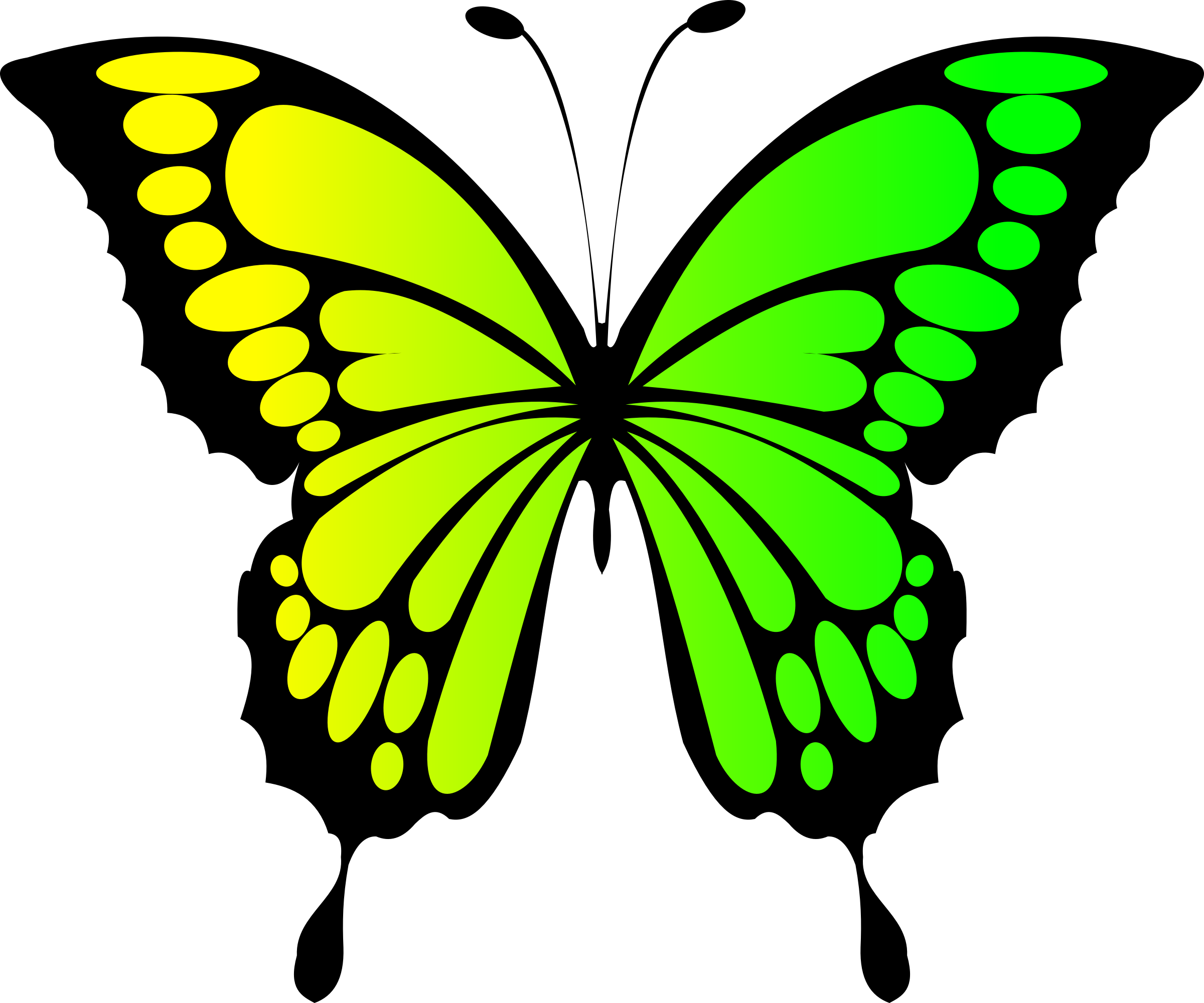 clipart butterfly light green