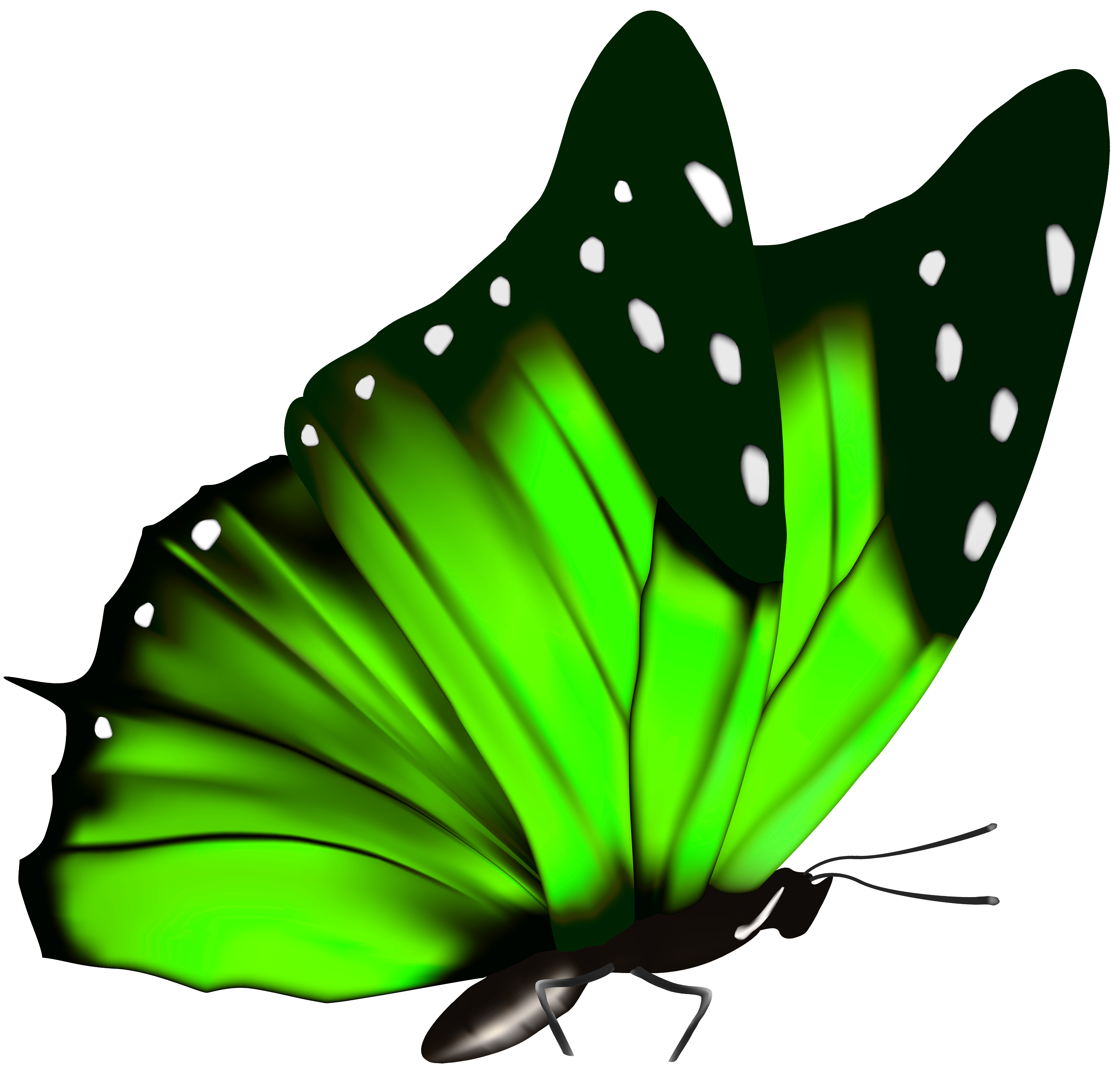 Clipart butterfly light green. Png image gallery yopriceville