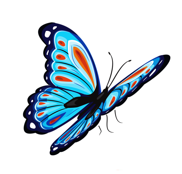 Insect clipart colorful flying butterfly. Blue and red png