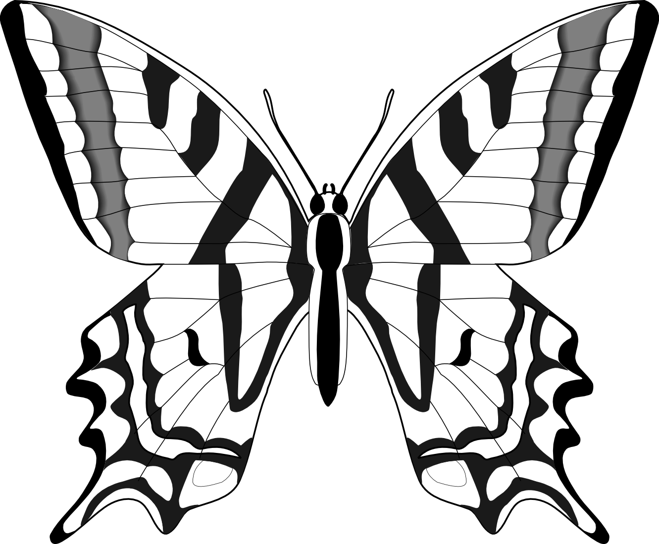 Clipart butterfly line drawing, Clipart butterfly line drawing