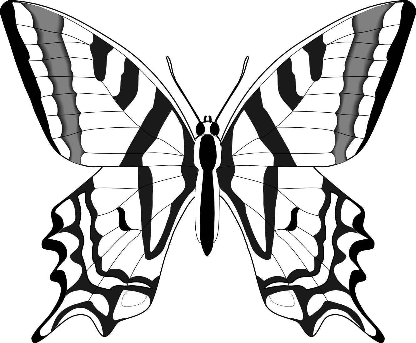 clipart butterfly line drawing clipart butterfly line drawing