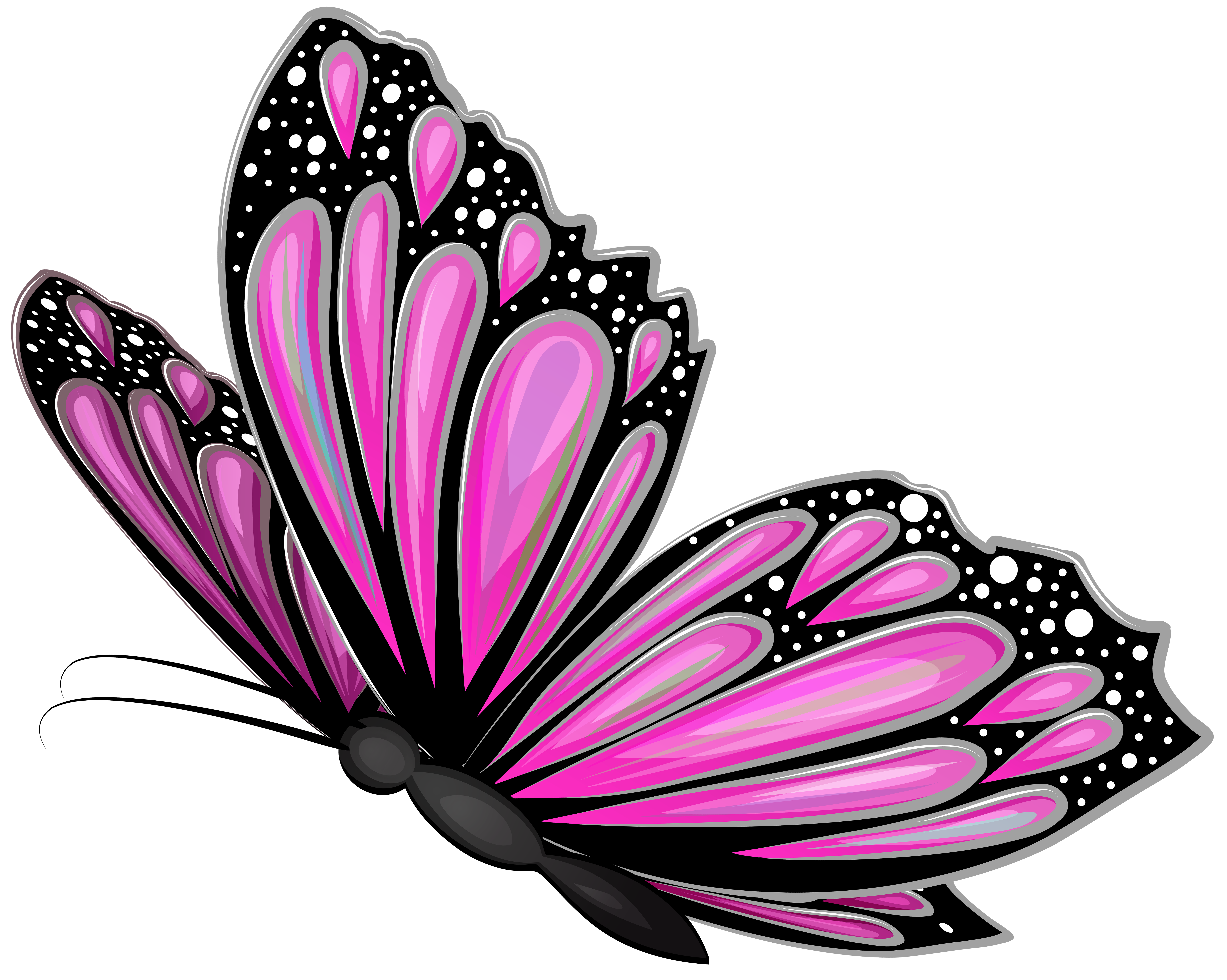 Clipart butterfly magenta. Pink transparent png clip