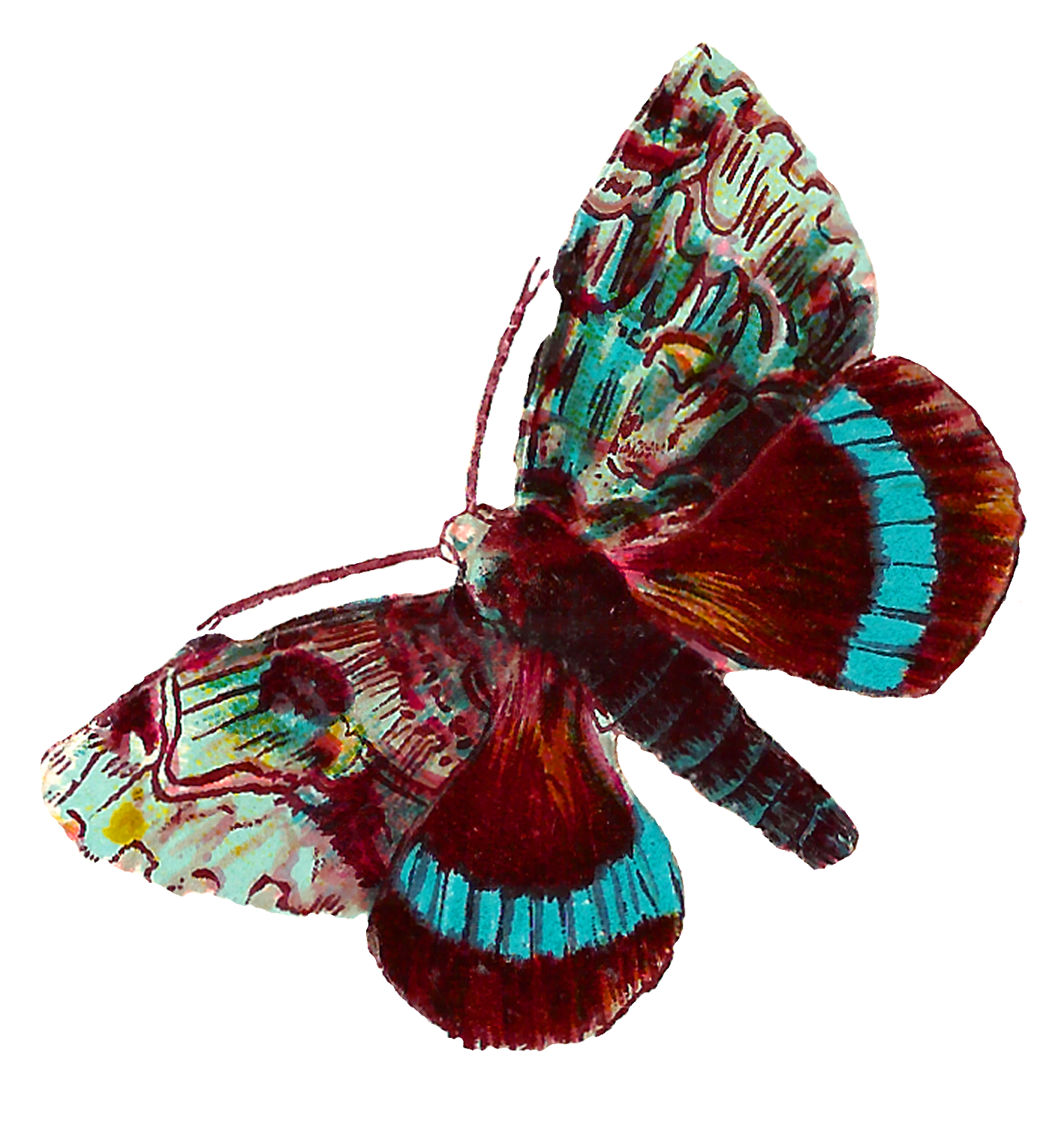 clipart butterfly maroon