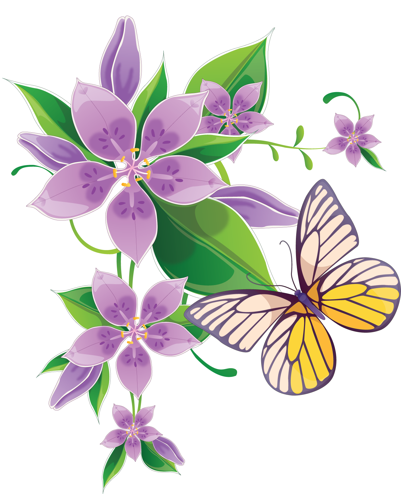 Clipart butterfly mint, Clipart butterfly mint Transparent FREE for ...