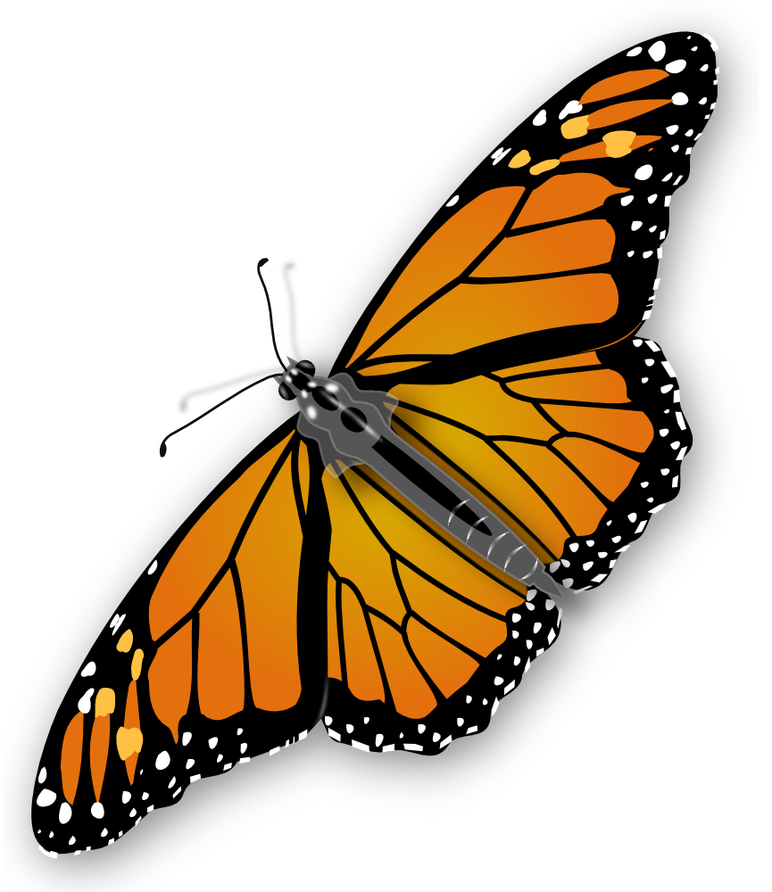 clipart butterfly monarch