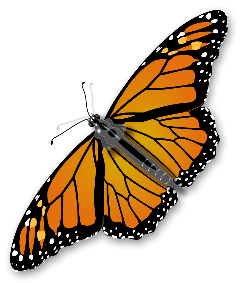 Clipart butterfly net.  monarch clip art