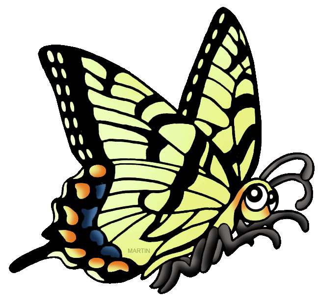 coloring clipart butterfly