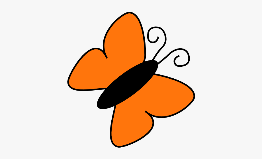 clipart butterfly orange