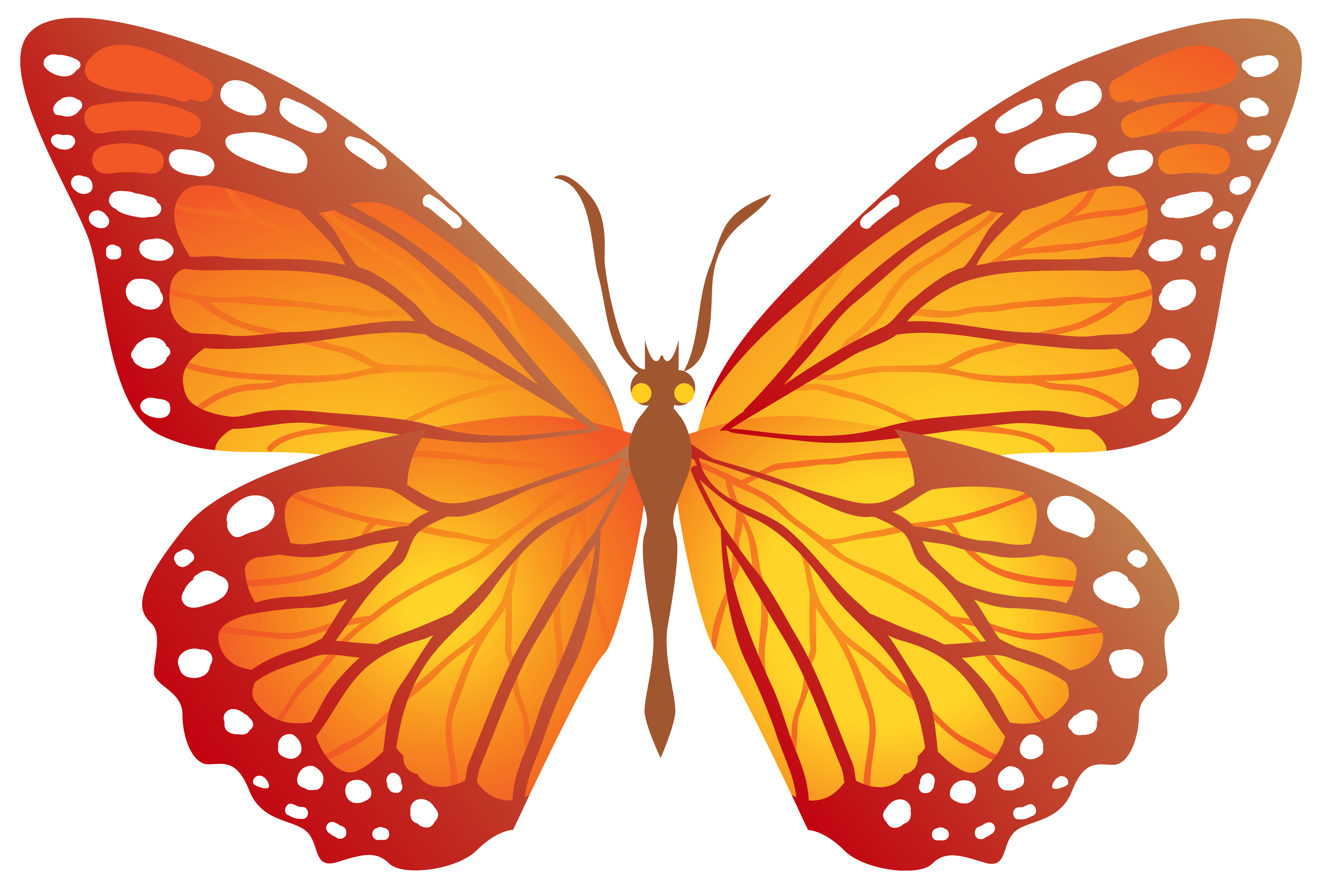 clipart butterfly orange
