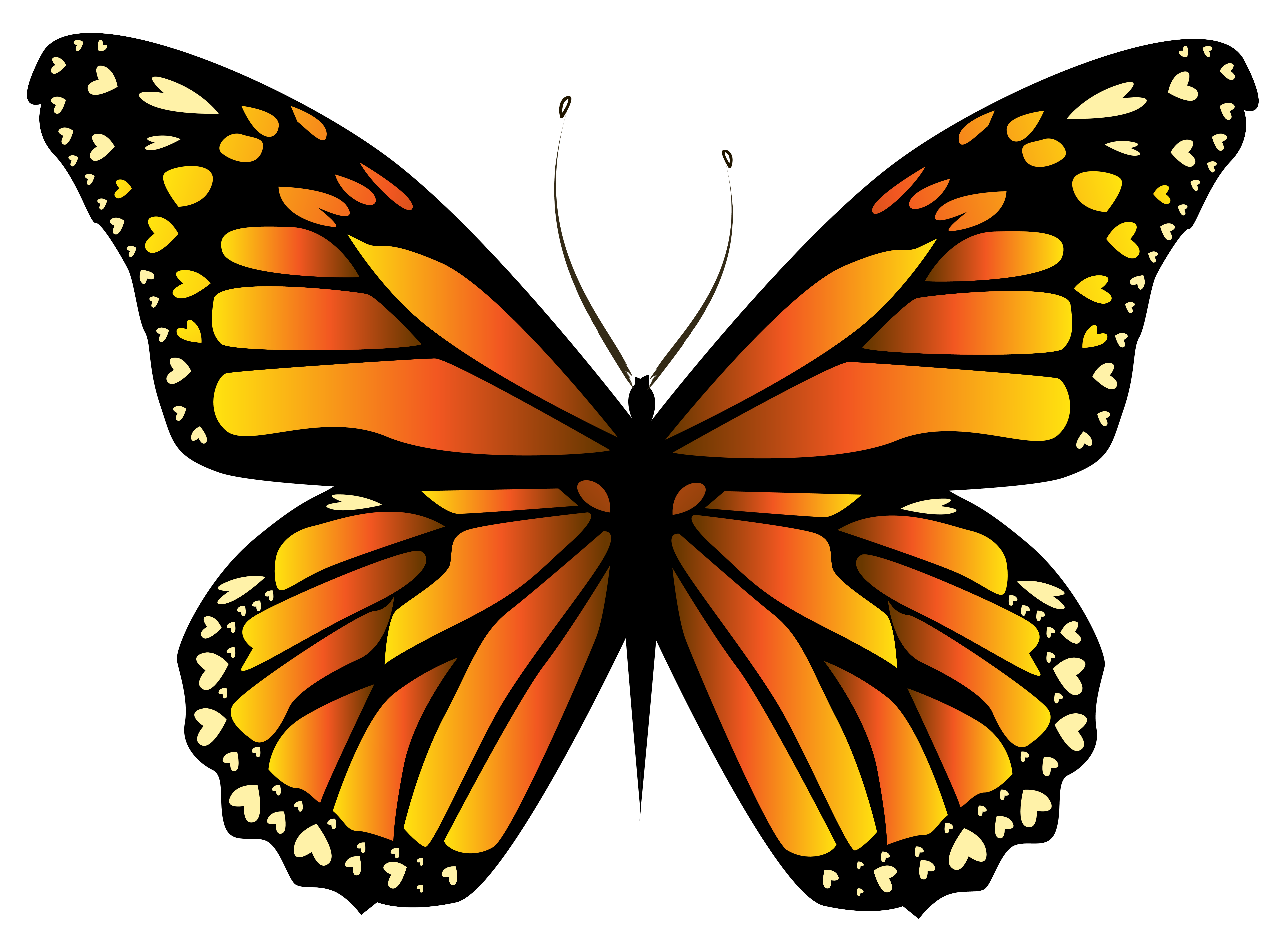 orange clipart butterfly