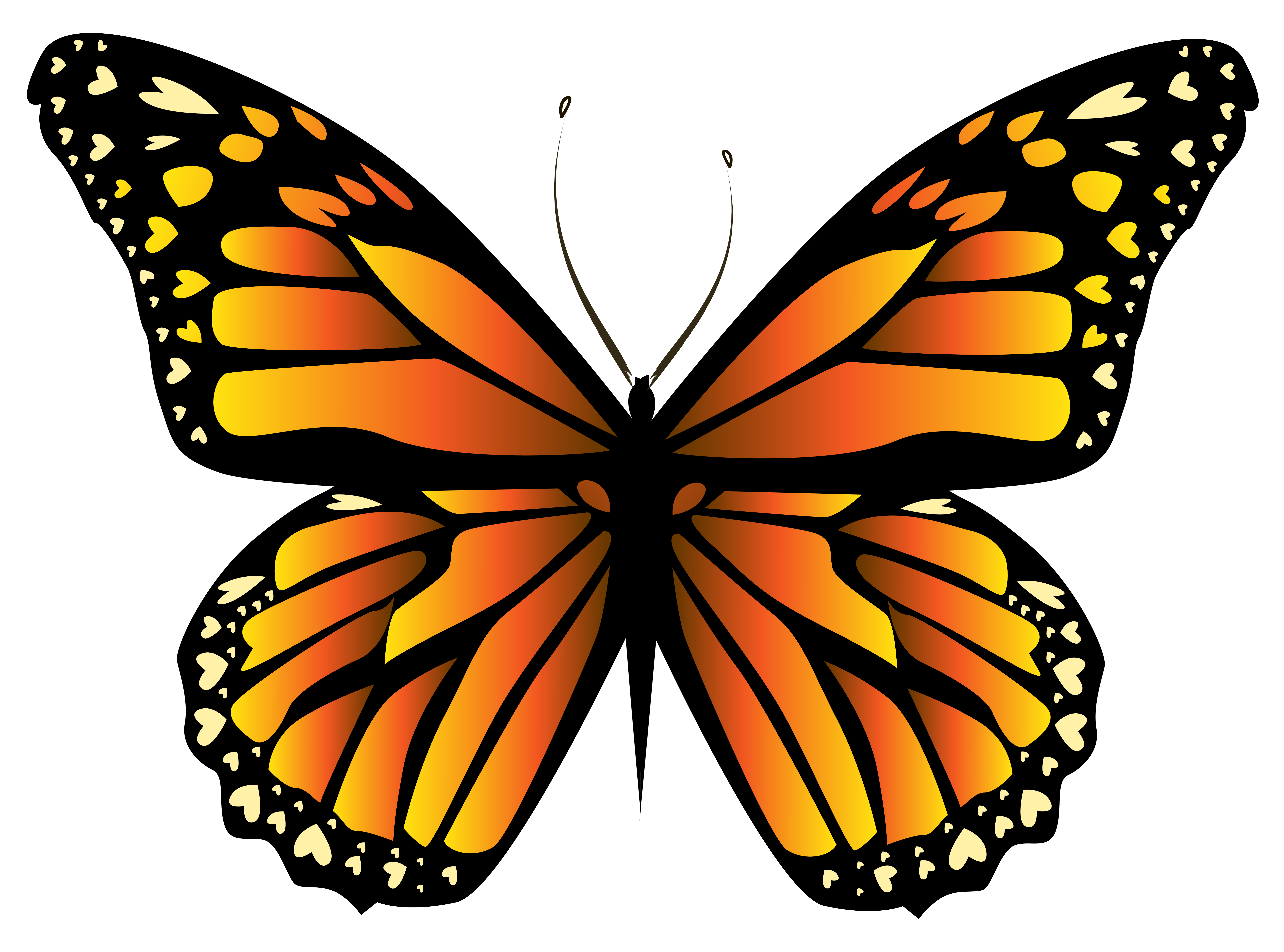 clipart butterfly orange