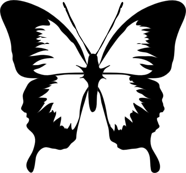 Outline panda free images. Butterfly clipart vector