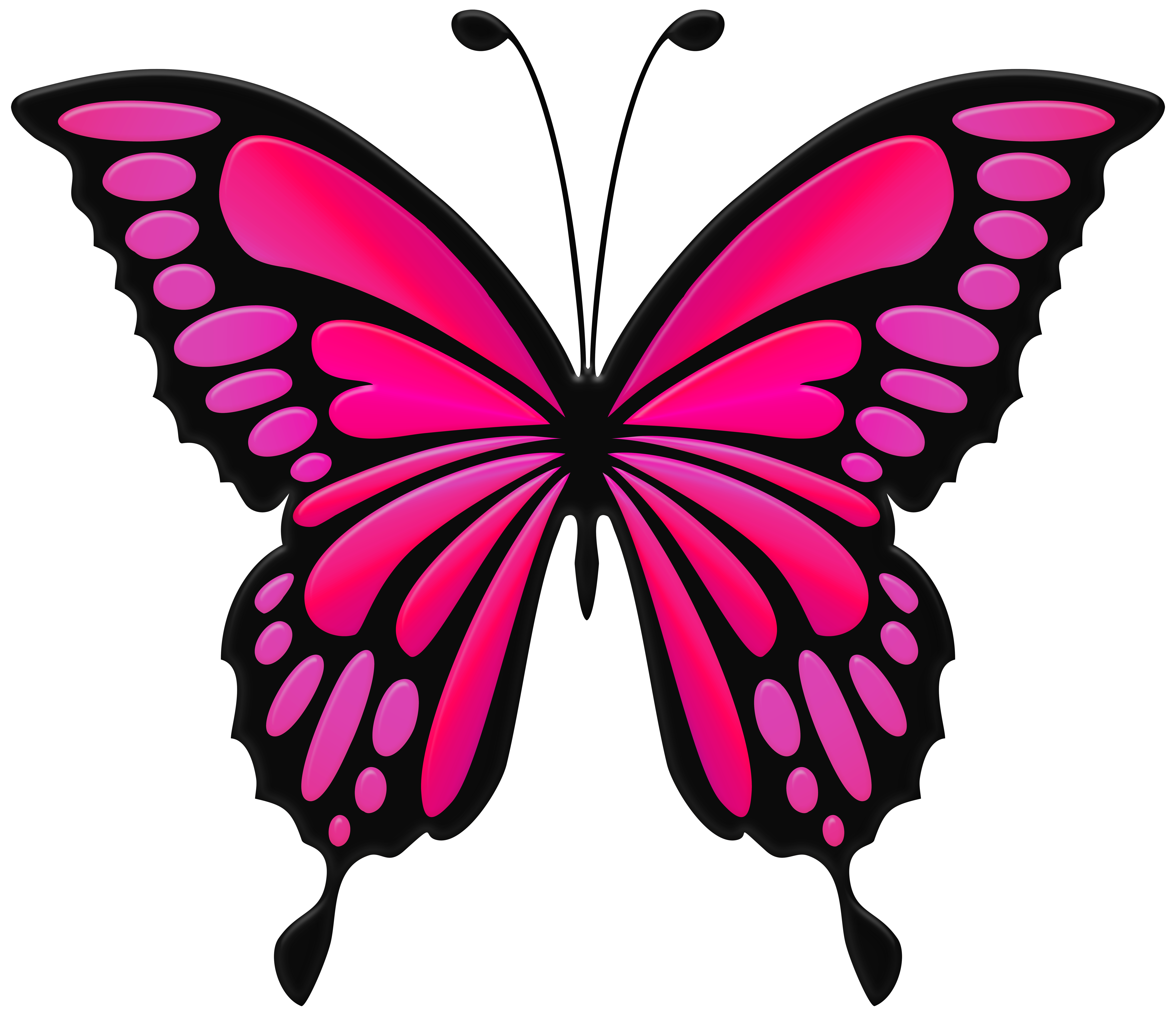 Png clip art image. Clipart butterfly pink