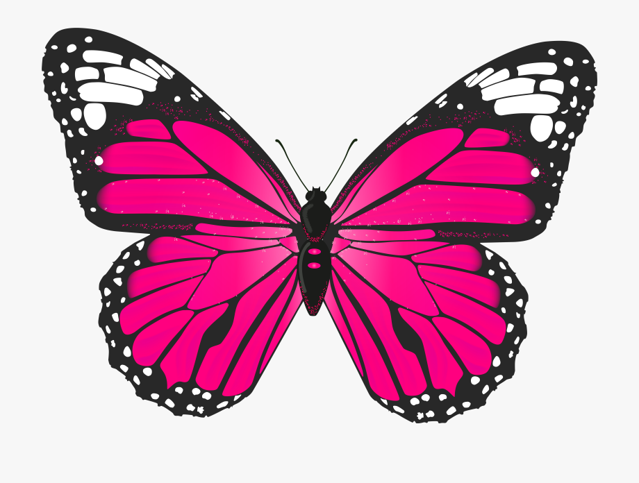 Clipart butterfly pink. Free cliparts on 