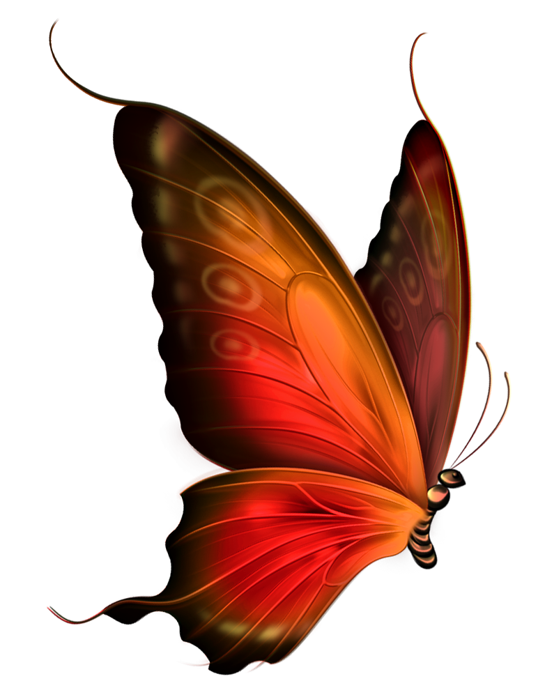 Clipart butterfly red. And brown transparent gallery