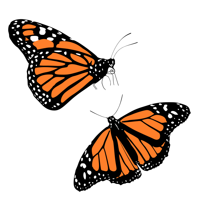 Easy free cliparts page. Hands clipart butterfly