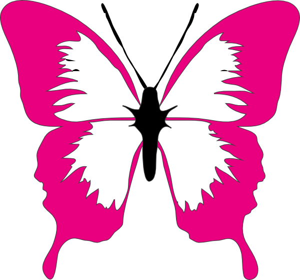pink clipart butterfly
